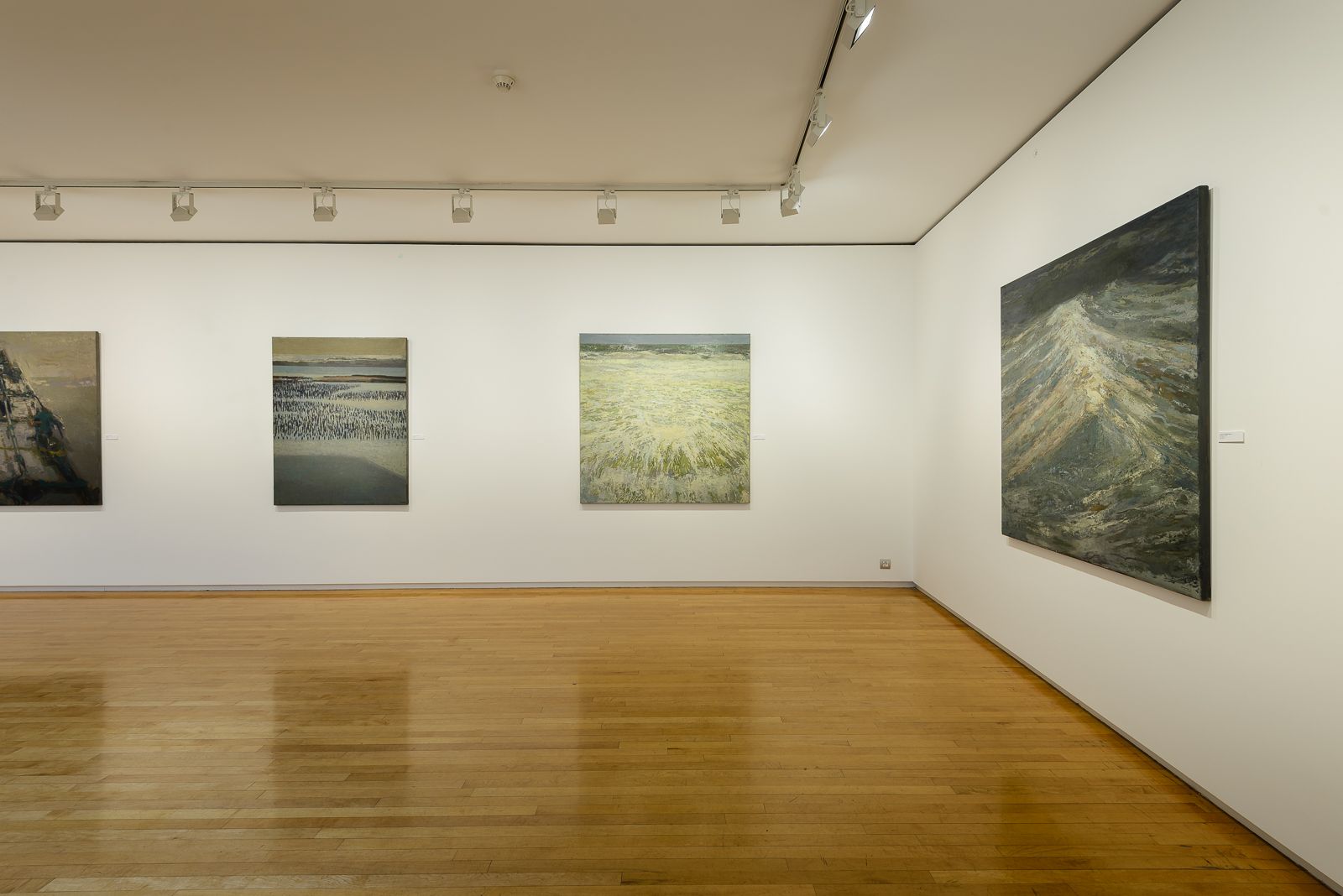 Close-up of seascape paintings in a gallery with wooden floors, white walls, and overhead track lighting.