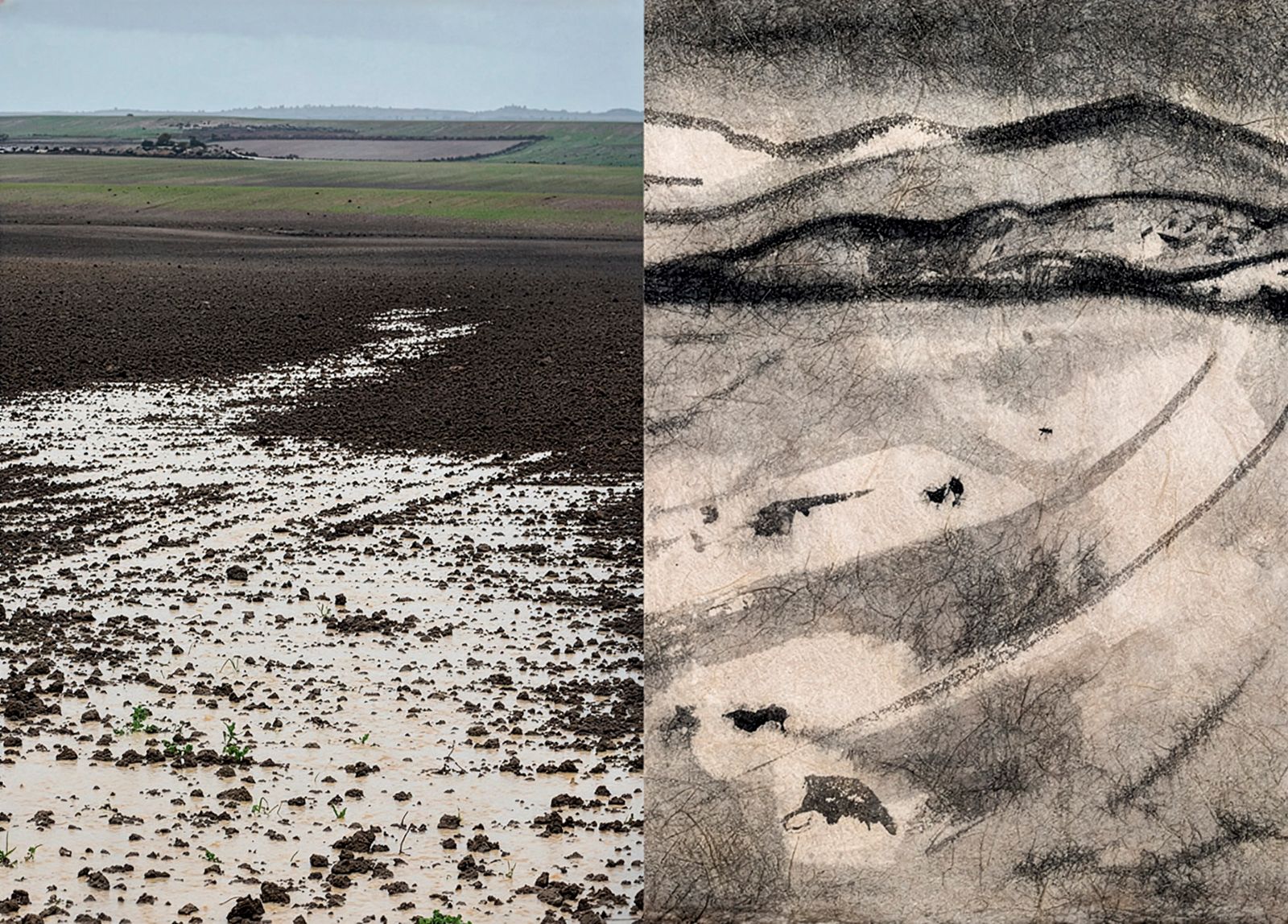 Díptico con una fotografía de paisaje de un campo lodoso a la izquierda y un dibujo abstracto a tinta de un paisaje similar a la derecha.