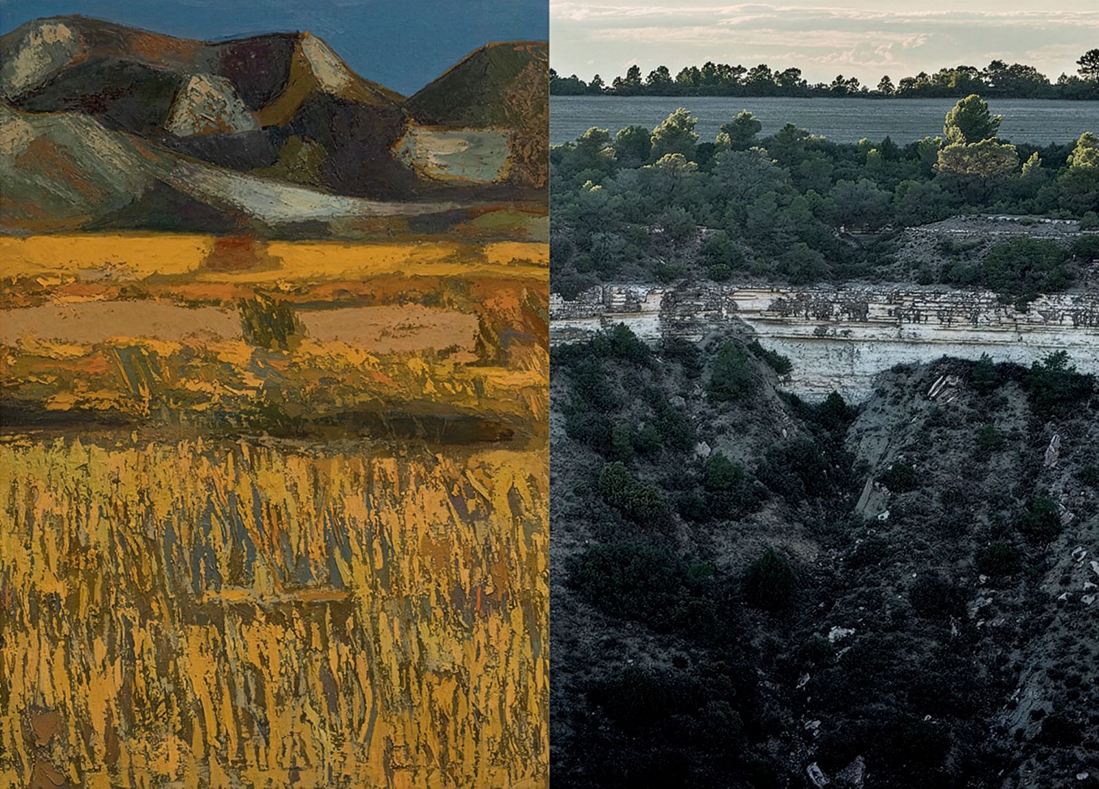 Díptico con una pintura abstracta de un paisaje de montaña y campo a la izquierda y una fotografía de un cañón rocoso boscoso a la derecha.