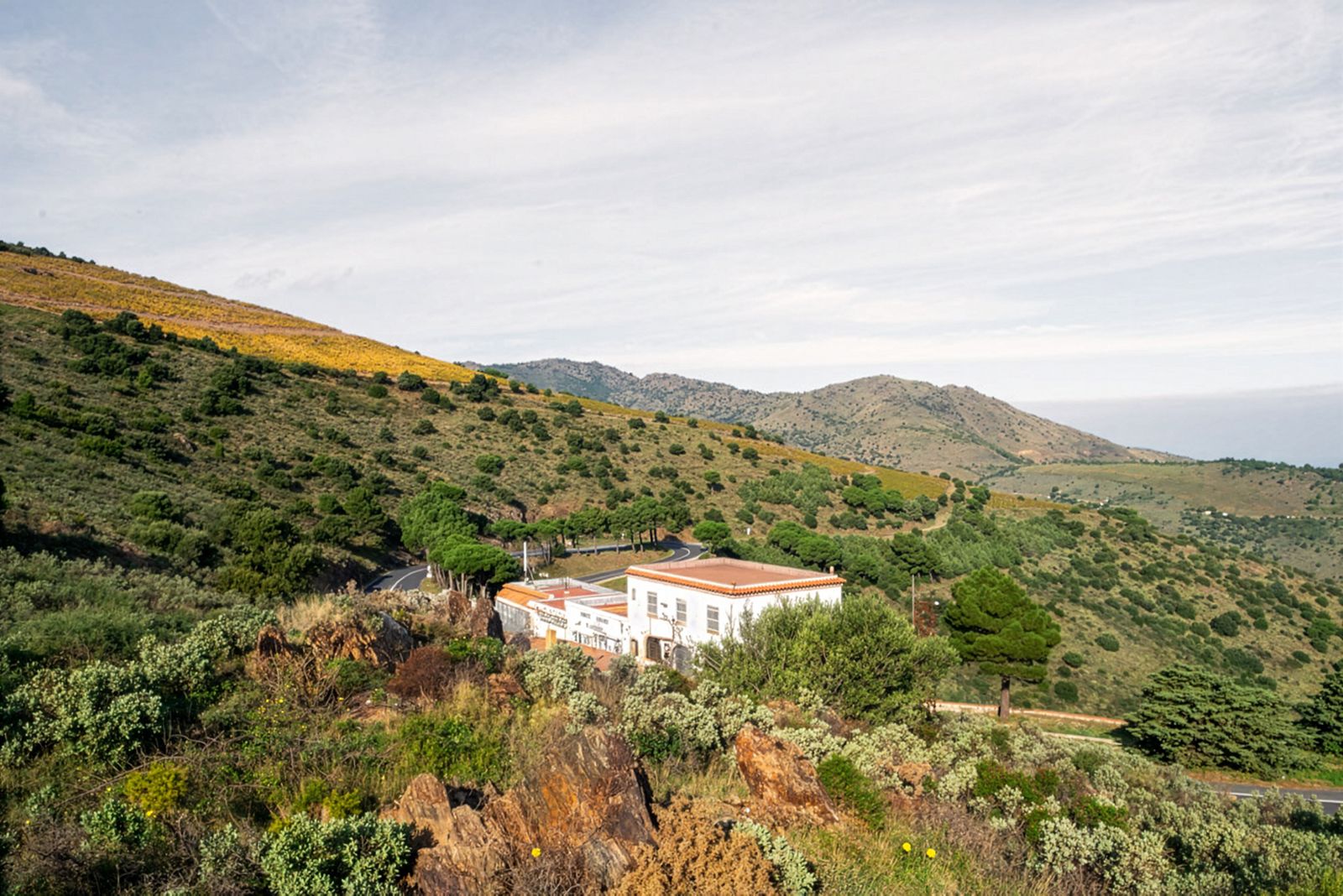 Una vista panorámica de un edificio blanco rodeado de colinas cubiertas de arbustos y diferentes cactus, con una carretera sinuosa y un telón de fondo montañoso bajo un cielo parcialmente nublado.