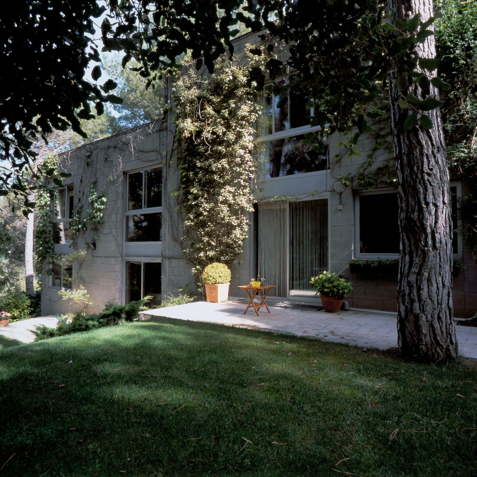 Exterior d'una casa de dues plantes en terrasses amb grans finestres, parets cobertes d'heura, una zona pavimentada amb plantes en test i una petita taula, tot envoltat de grans arbres i gespa.